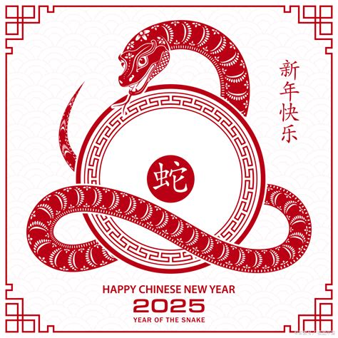 2025年是什么生肖